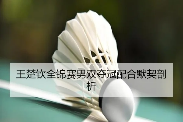王楚钦全锦赛男双夺冠配合默契剖析 | kaiyuan